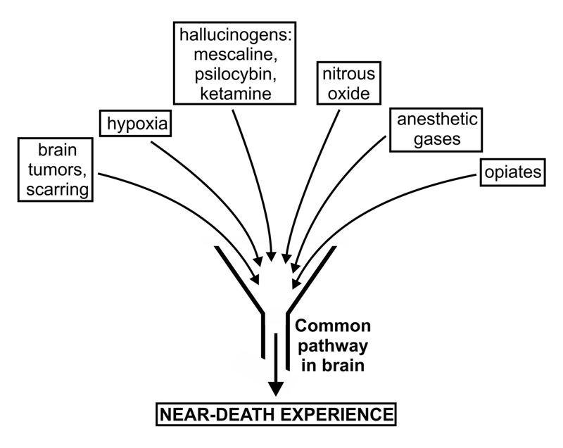 anesthesia and the soul