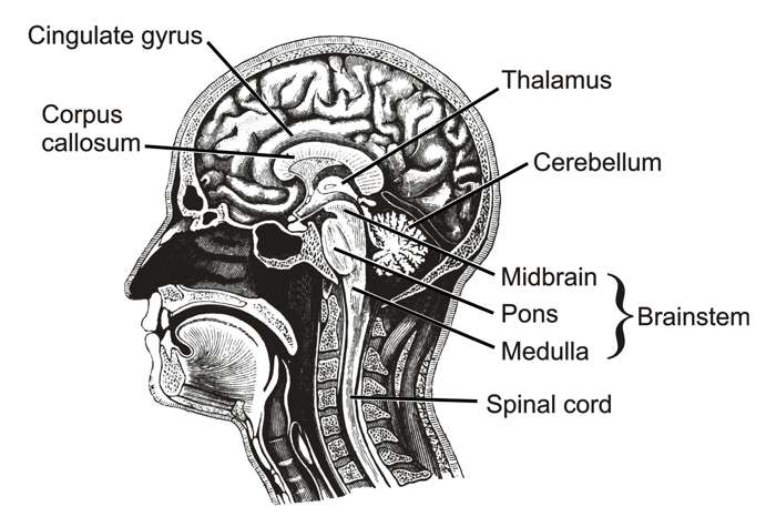 anesthesia and the soul